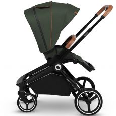 Коляска 2 в 1 Lionelo Mika Green Forest